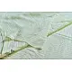 shop saree handloom cotton  - Light Yellow