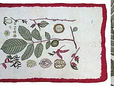 Kashmiri Namda ~ Akhrot Phirozi  (5' X 3') ~ 1