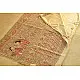 Dream Girl ❁ Tussar Silk . Madhubani Saree ❁ 3
