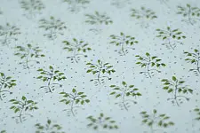 Sanganeri fabric ~ 17 (Block Printed . Per Meter)