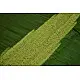 Haiku ✼ Handwoven Tussar-Spun Silk Shibori Saree { F }