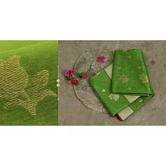 Satyabhama - Chanderi Saree ~ 9