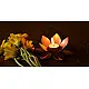 Courtyard ⚛  Lotus Copper Small Tea Light Holder ⚛ 47