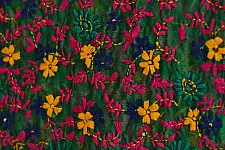 Veera * Chanderi Phulkari Dupatta { 1 }