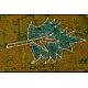 At the Crack of Dawn ✲ Maheshwari Silk . Batik Saree ✲ 15