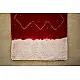 शाकरचित | Shakrachit ⚹ Handwoven Woolen Stole { 18 }