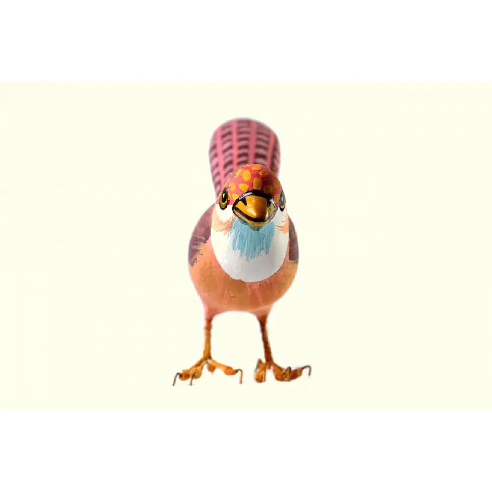 Some chirrups from wilderness ~ Robin
