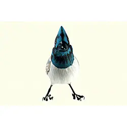 Some chirrups from wilderness ~ Bulbul