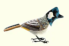 Some chirrups from wilderness ~ Bulbul