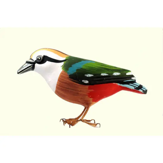 Some chirrups from wilderness ~ Indian Pitta