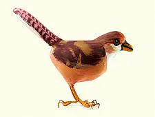 Some chirrups from wilderness ~ Robin