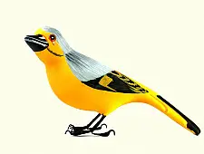 Some chirrups from wilderness ~ Scarlet minivet