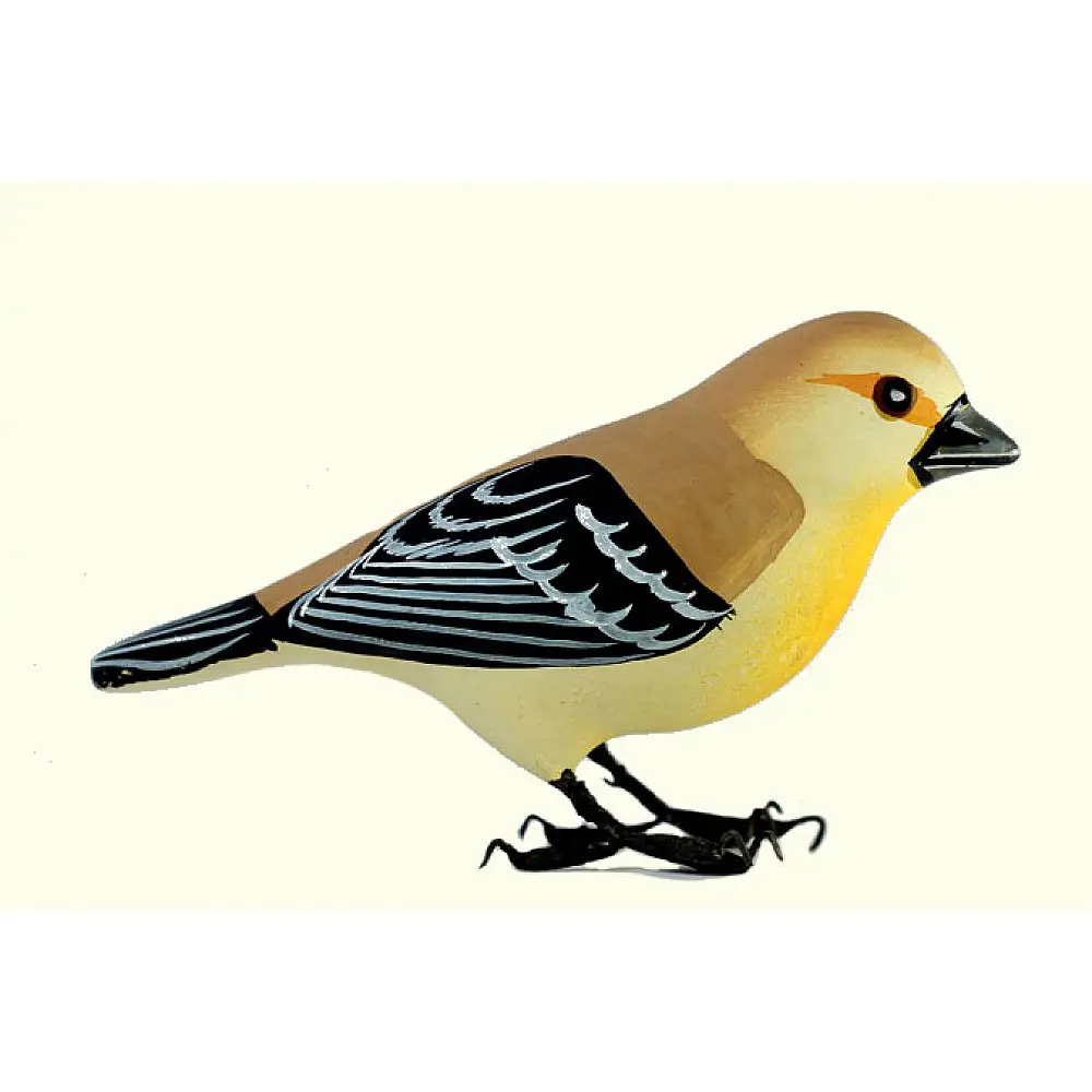 Some chirrups from wilderness ~ Weaver bird