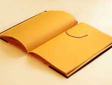 Batik Diary ~ Swaminarayan
