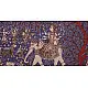 Sacred cloth of the Goddess - 5 ( 27 X 22 )