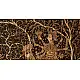 Sacred cloth of the Goddess- Bahuchara Mata ( 58X42 )