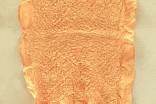 Ela ☘ Naturally Dyed . Bandhani Silk Stole ☘ 9