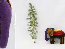 GO PO - The Elephant ✽ 11