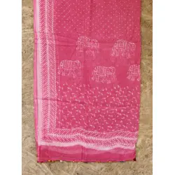 Vani ✜ Kota Block Printed ✜ Duppatta-10