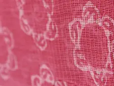 Vani ✜ Kota Block Printed ✜ Duppatta-11