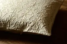 Applique Cushion ~ 4 