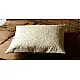 Applique Cushion ~ 4