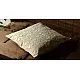 Applique Cushion ~ 5