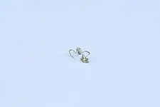 Charushila ~ Kutchi Noes pin - G (Set of two)