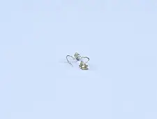 Charushila ~ Kutchi Noes pin - G (Set of two)