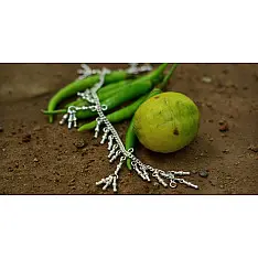 Silver Jewelry ~ Kanchali