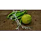 Silver Jewelry ~ Kanchali