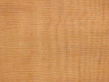 Handwoven Fabric ⚵ Tissue Silk Maheshwari ⚵ 4 { 2.5 meter }