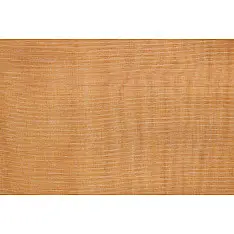 Handwoven Fabric ⚵ Tissue Silk Maheshwari ⚵ 4 { 2.5 meter }