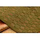 काशिका ⚛ Pranpur Mulberry Silk Saree ⚛ 8