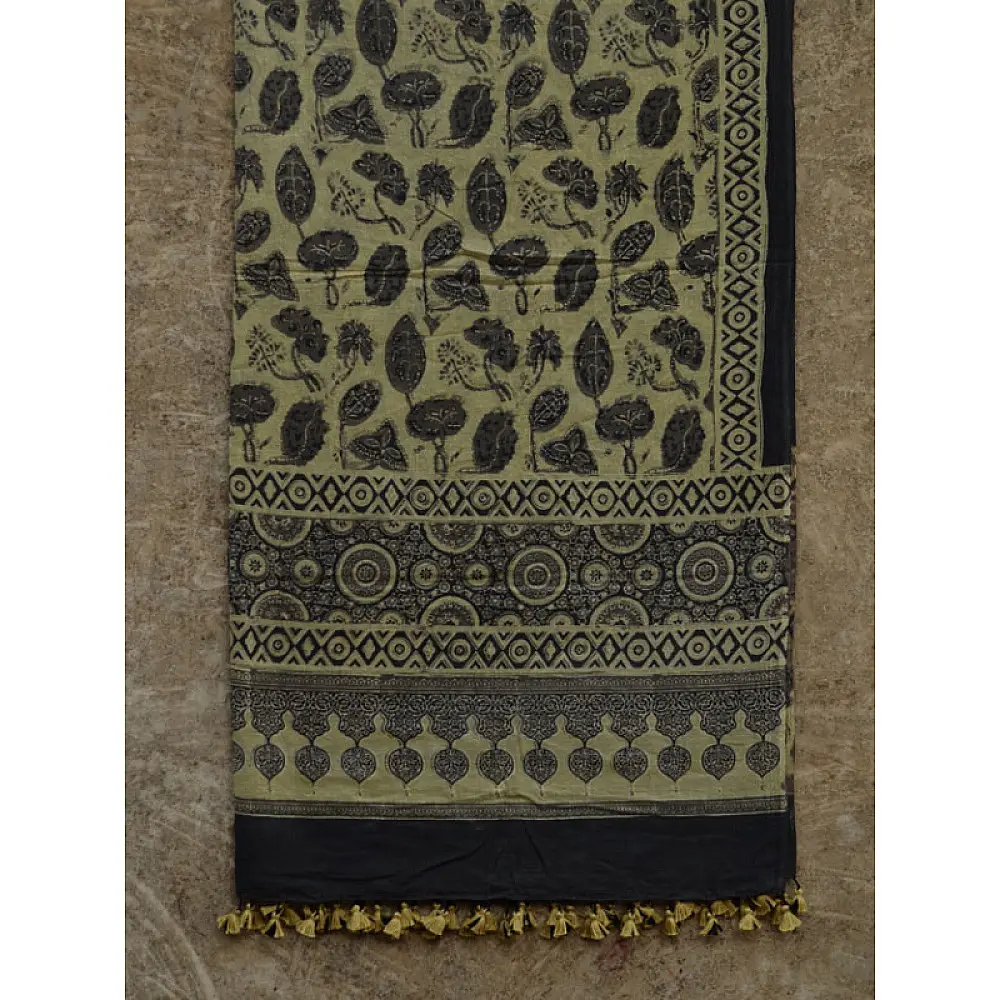 From the Wardrobe ☙ Mul Cotton Ajrakh Dupatta {14}