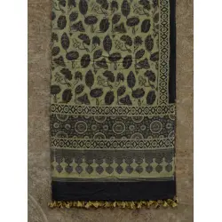 From the Wardrobe ☙ Mul Cotton Ajrakh Dupatta {14}