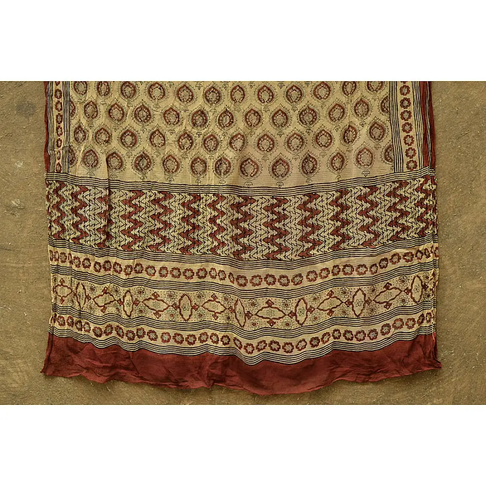 The trails to flowerbeds  ~ Vegetable colors Ajrakh dupatta ~ 1