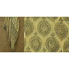 The trails to flowerbeds  ~ Vegetable colors Ajrakh dupatta ~ 2
