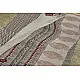 Bagheshwari * बाघेश्वरी  { Bagh + Maheshwari Saree - 31 }