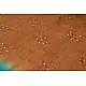 Roha ★ Bandhani & Ajrakh ★ Tussar silk saree { P }