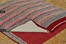 Varunika : Block printed Cotton Saree ~ 2