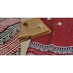 Varunika : Block printed Cotton Saree ~ 2
