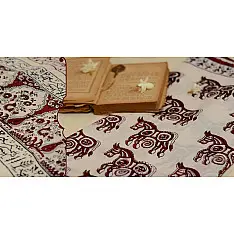 Varunika : Block printed Cotton Saree ~ 21