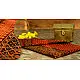 Manjri : Block printed Cotton Saree ~ 4