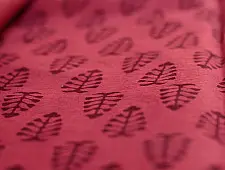 Manjri : Block printed Cotton Saree ~ 5