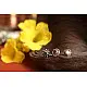 लावण्य ✽ Nose pin ✽ A { Set of 3 }