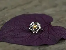 Nose pin *H*