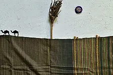 Breezy Mangroves ❧ Handwoven Bhujodi Cotton Tussar Silk Dupatta ☙ 12