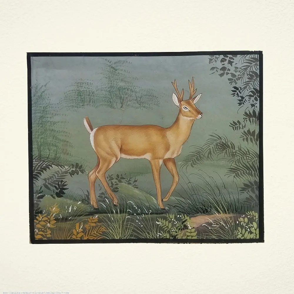 shop Miniature Painting Hiran