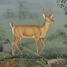 Miniature Painting | Hiran / Deer